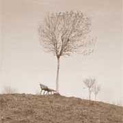 ������������ ��������� � ������